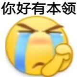 你好有本领