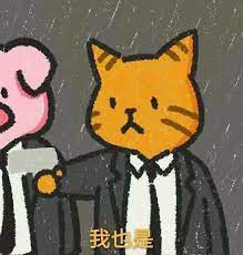 猫咪的认同