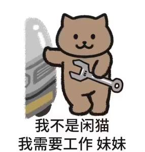 我不是闲猫，我需要工作，妹妹