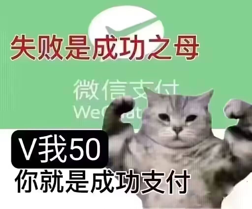 失败是成功支付