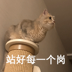 站好每一个岗