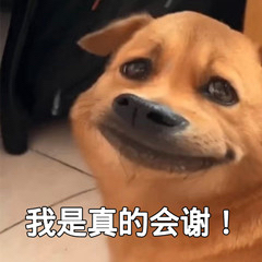我是真的会谢