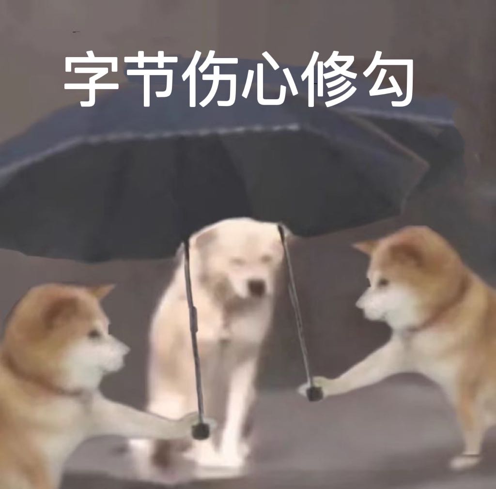 单身狗的雨天