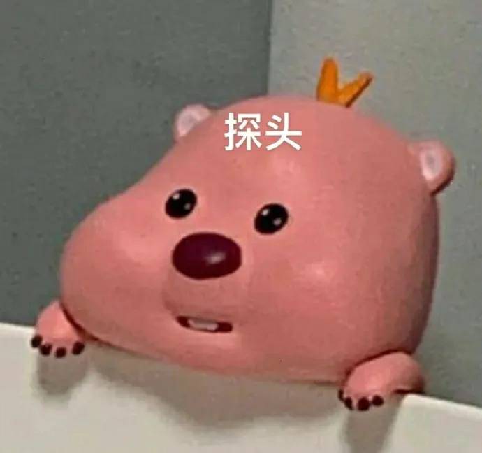 探头熊