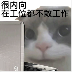 内向猫不敢工作