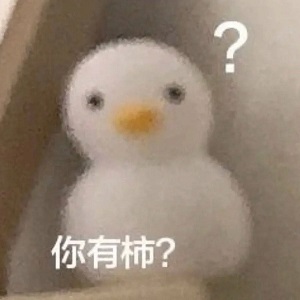 你有柿？小鸭子问号表情包