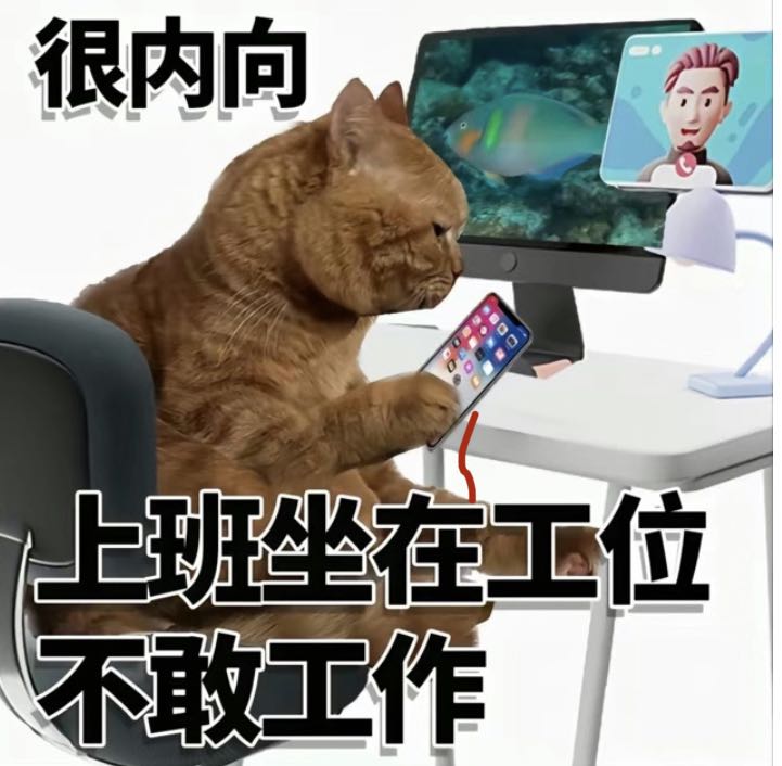 内向猫上班摸鱼