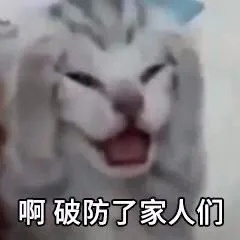 破防了家人们