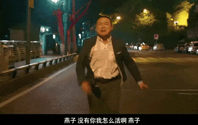 燕子，没有你我怎么活啊燕子
