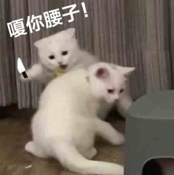 猫咪背后捅刀子