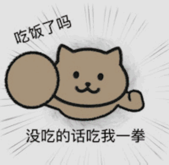猫咪的问候