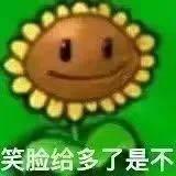 植物大战僵尸 - 笑脸向日葵
