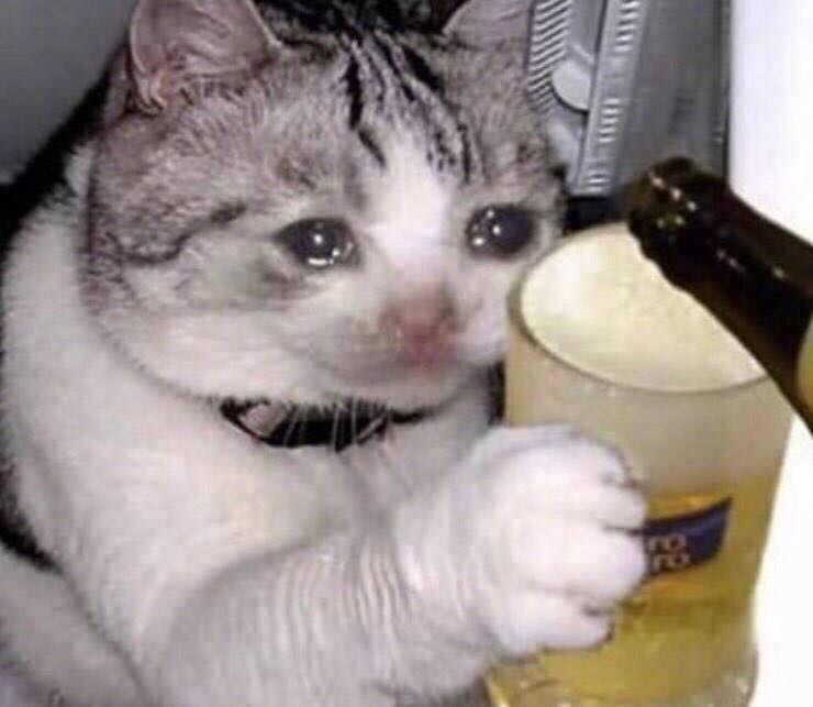 猫咪喝酒