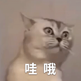 惊讶猫咪